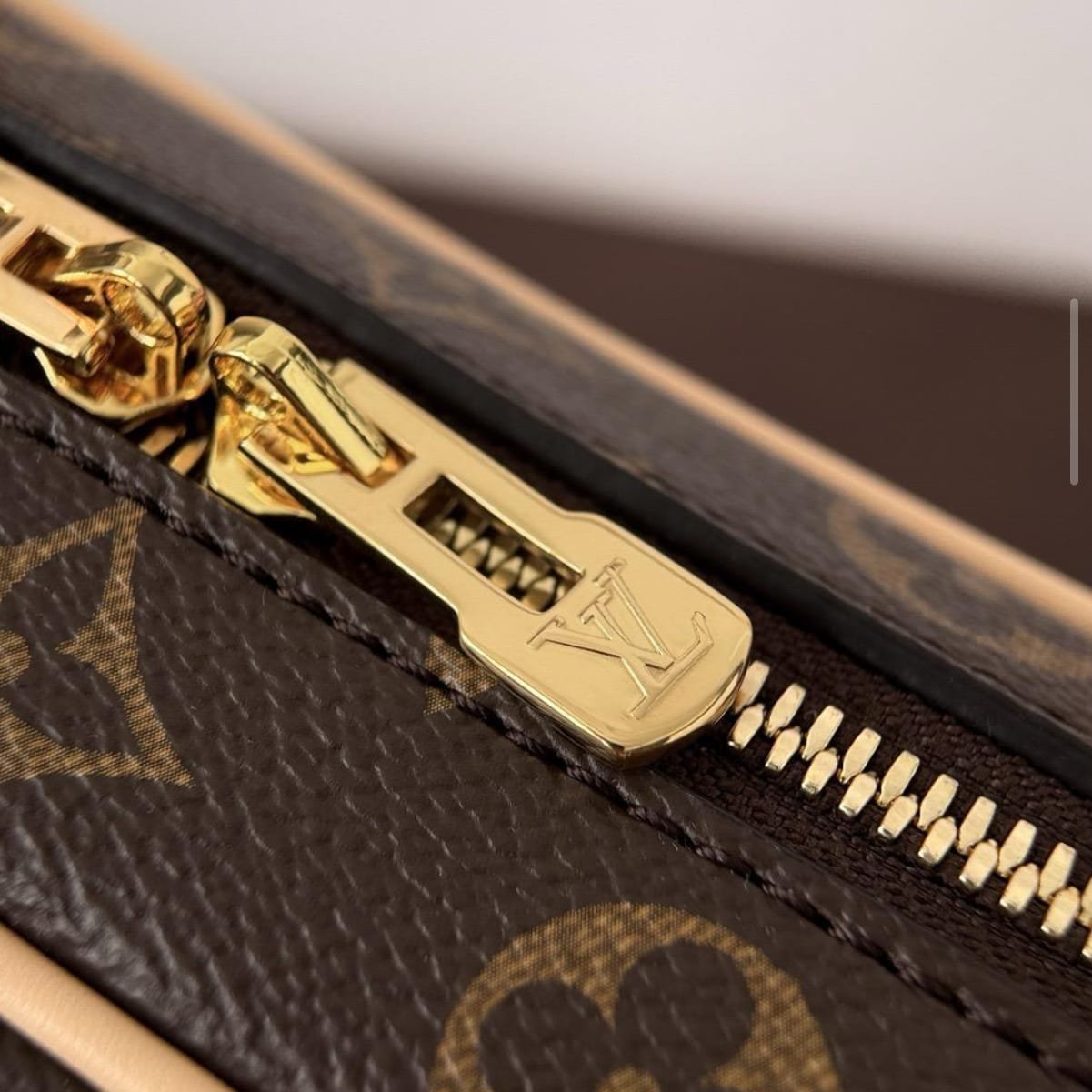 Bolsa Louis Vuitton - Imagem 9