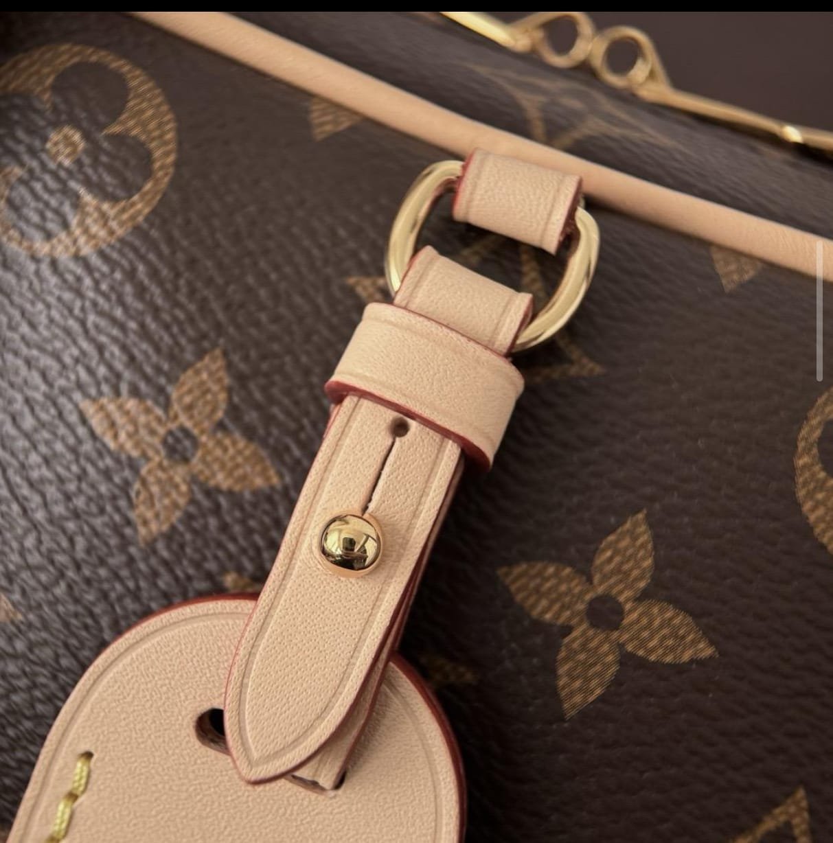 Bolsa Louis Vuitton - Imagem 8